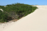 Chaves Beach, Boa Vista