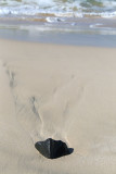 Chaves Beach, Boa Vista