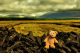 Frimpong in Ireland - by Máire Uí Mhaicín