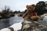 Low Force