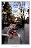 Perl Street Mall