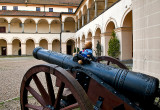 The Cannon Bear