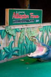 The entrance with artifical Alligator for photos