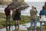 Sharks tooth Beach with Frans Lanting teaching