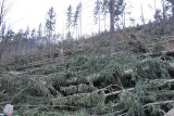F8_014.jpg