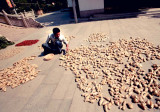 Ginger seller - Zhouzhuang, Jiangsu province