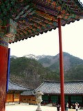 3534313-Travel_Picture-Sokcho.jpg