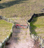 Branscomb Road in Mendocino County.jpg