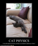 funny-pictures-cat-explains-physics.jpg