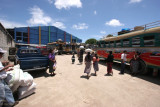 Terminal Local de Buses