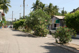 Calle Principal a la Playa Publica