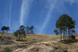 Paisaje a 3, 400 mts Sobre el Nivel del Mar