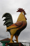 Gallo Gigante (simbolo del Municipio) a la Entrada de la Ciudad