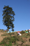 Vista Parcial del Cementerio