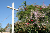 SAN ANTONIO HUISTA