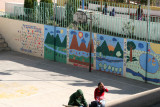 Murales Ecologicos en el Parque Central