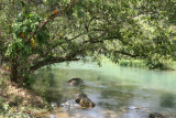 Rio Lanquin