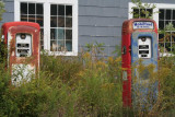 IMG_0896a.jpg