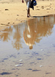 hairy legs at the beach