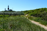 Path to Montauk Lighthouse
