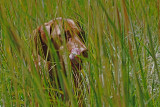You Can't See Me