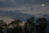 Hello Moon