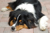 Don't Look So Sad