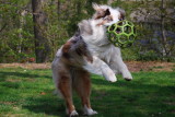 What a Catch!