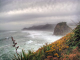 Piha on a Winters Day