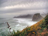 Piha on a Winters Day