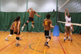Volley amateur