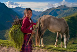 Young Quechua Shepherdess