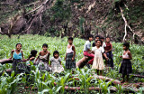 Kekchi Children in the Corn, II