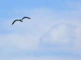 Out of Focus
