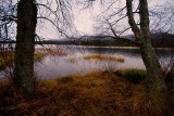 Loch Morlich.