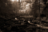 The Hermitage.