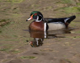 _5238752-copy.jpg