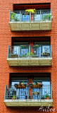 Lincoln Park Balconies Simplify 372x738.jpg