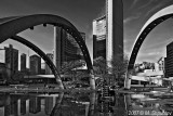 Spider , Toronto BW