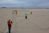 Over het zand van het nieuwe land