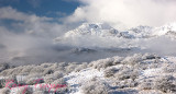 Moelwyn bach