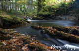 Autumn river.jpg
