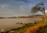 Llyn Trawsfynydd (April 3)