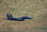 IMG_3797.jpg