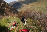 Misery in the grass :-)