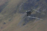 IMG_4837.jpg
