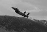 IMG_4846