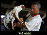 Bali People