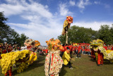 Lion dance performance