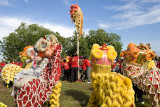 Lion dance performance  (8289)